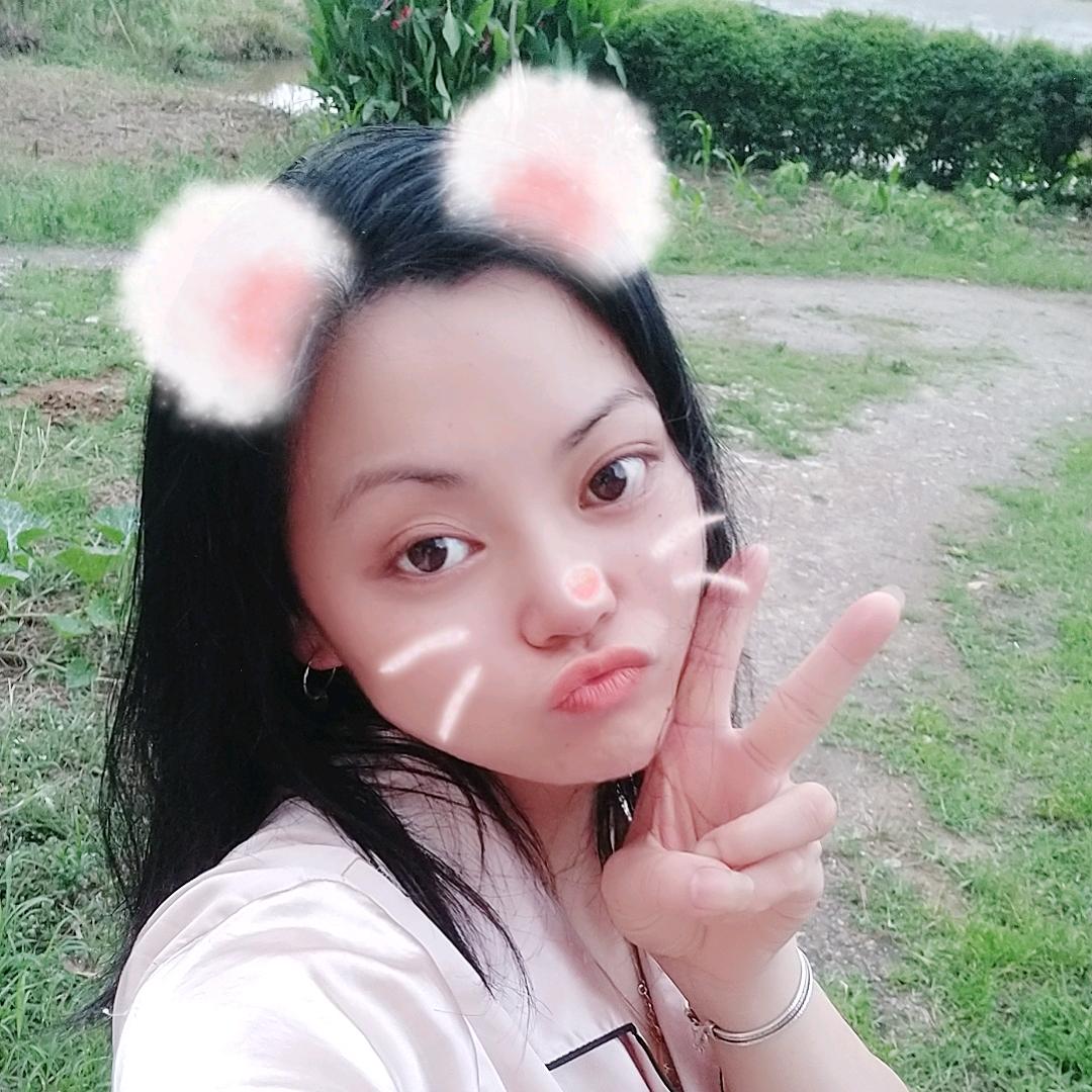 ✨灵兔子🐰