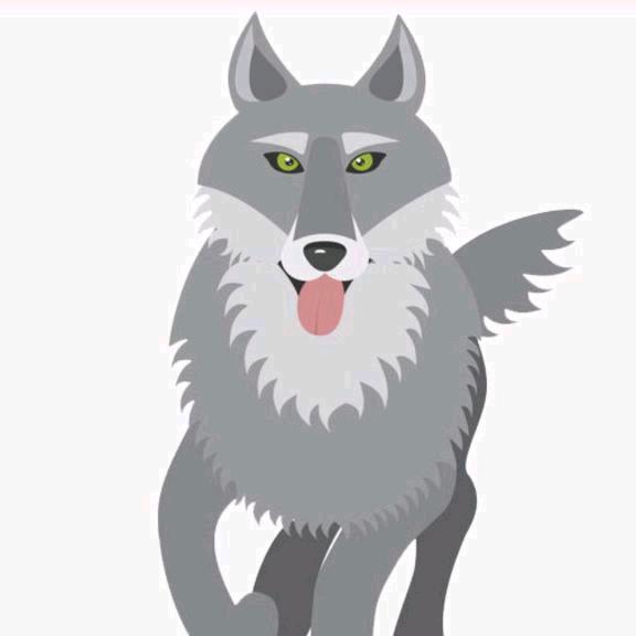 大灰狼.