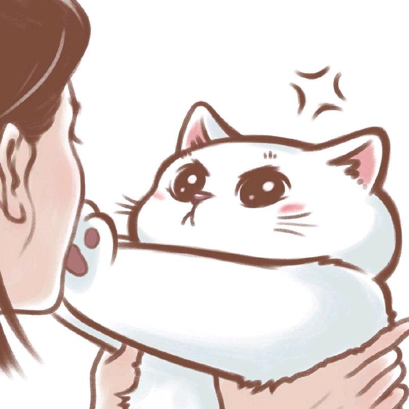 勺子🥄