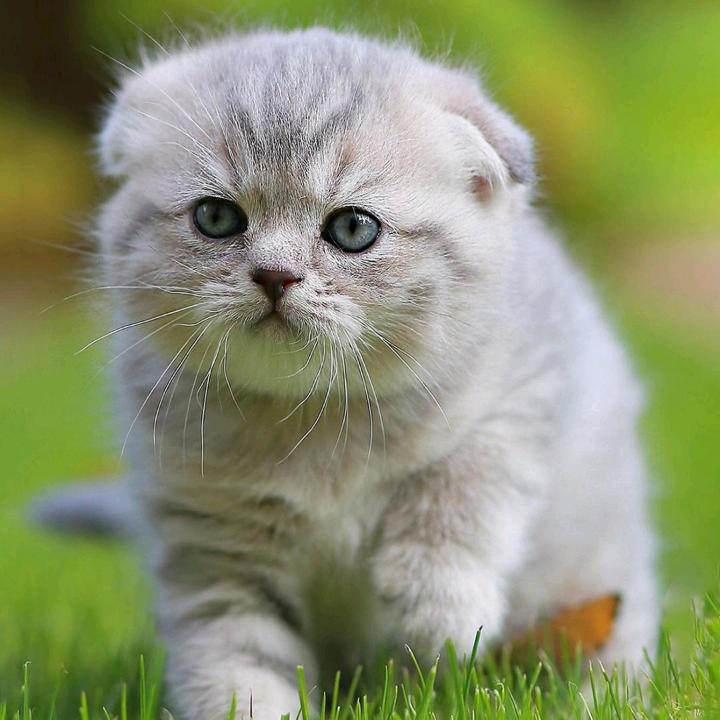 💕᭄武心ꦻ⁵₂⁰诺闫ꦿ࿐ᩚ