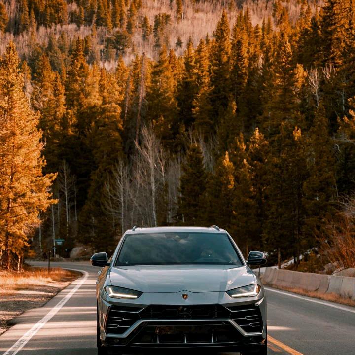 &余#生&只*搞&钱¥