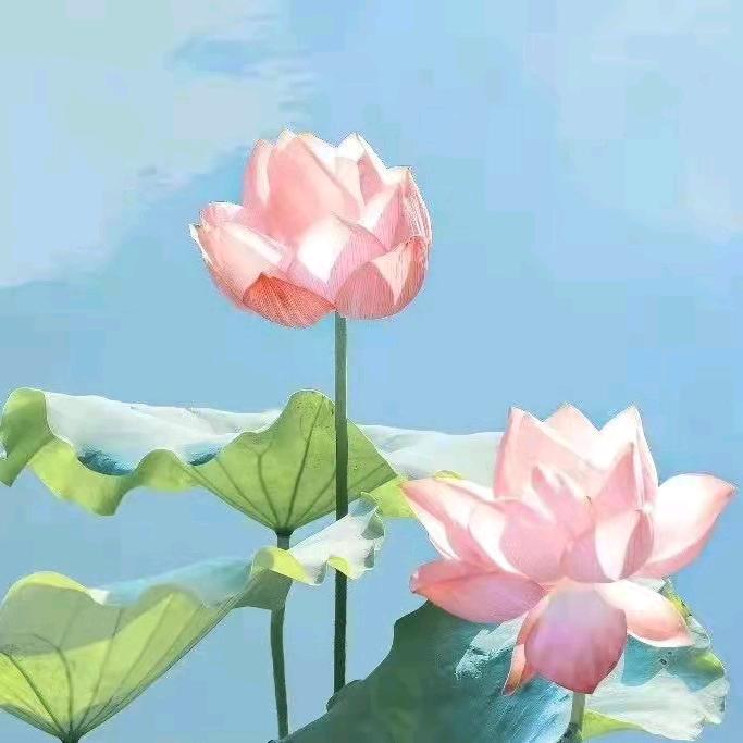 小利