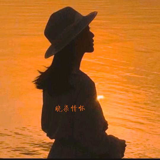 晓柒情怀