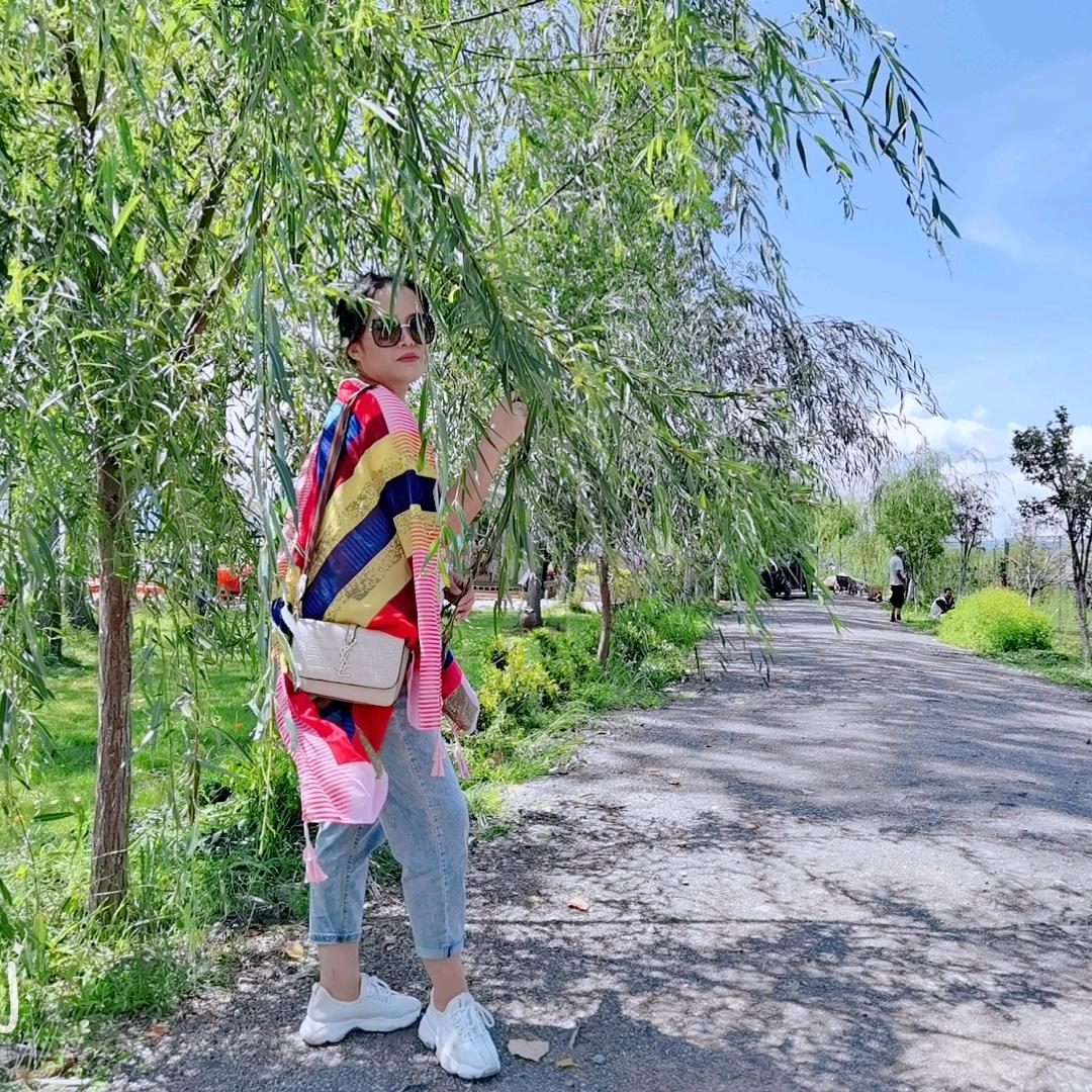 孝感市星翔网络有限公司
