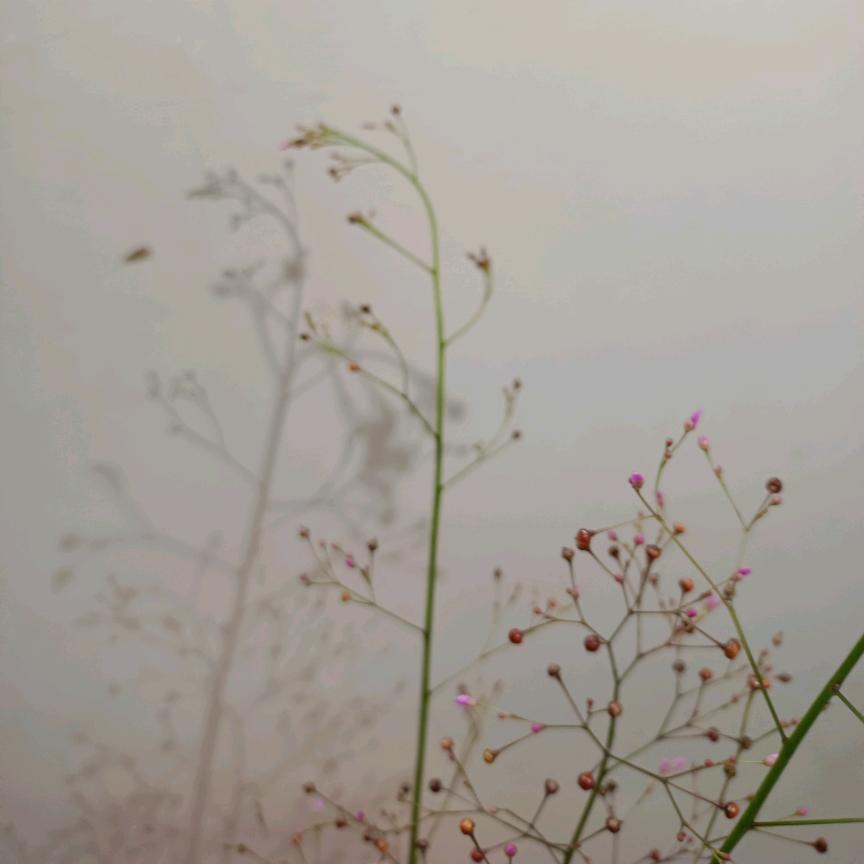 小宝，我们来秀秀