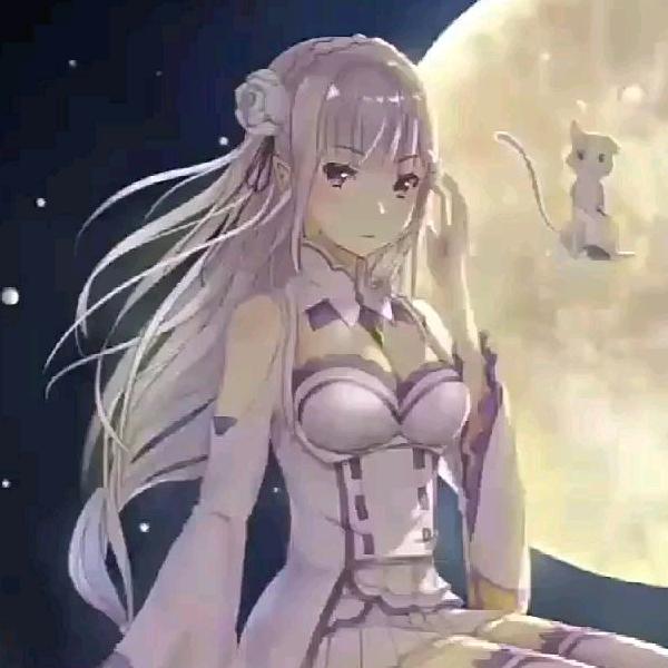 雷家大小姐