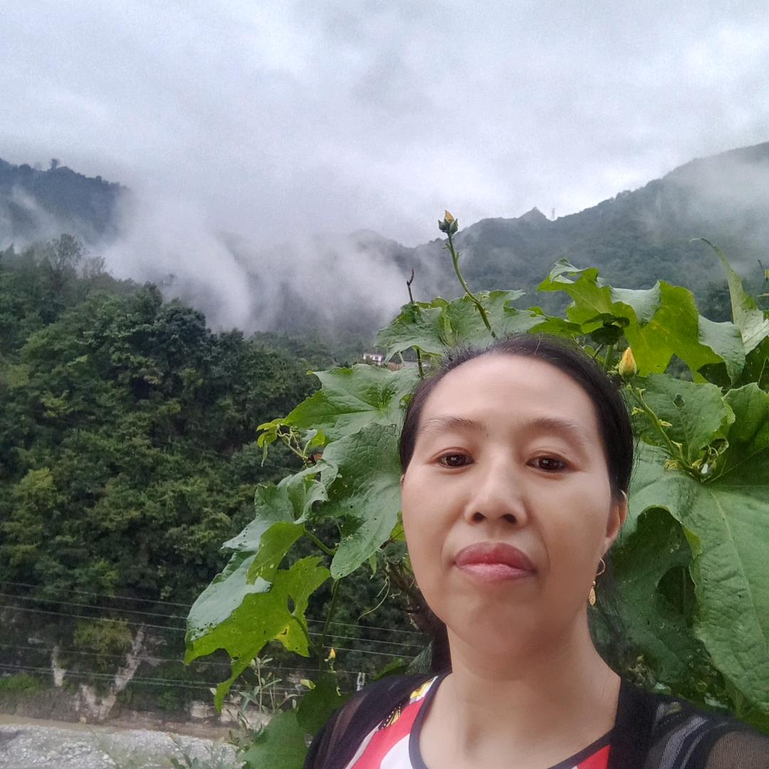 菩提树的缘悟中娜画