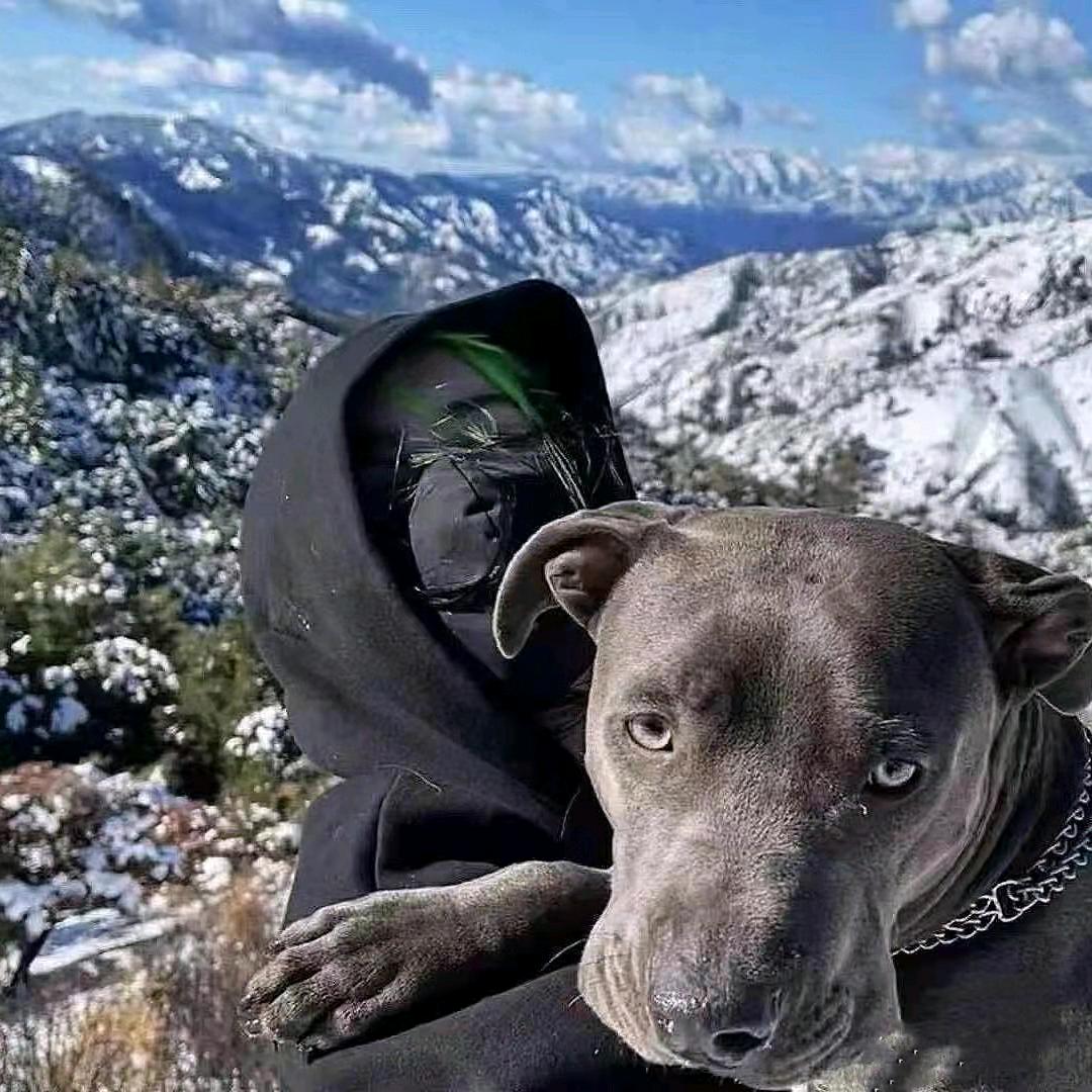 嘿嘿啦啦
