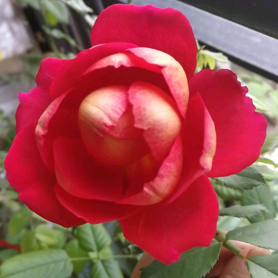 明天，更美好！
