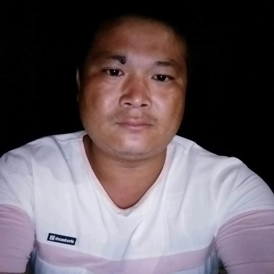 河南,刘亚亚,,,1293