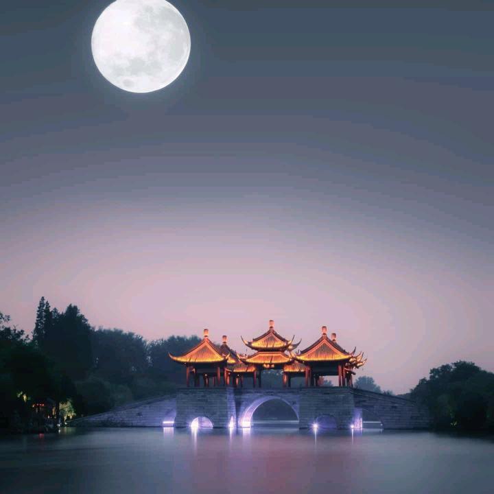 至尊神主赵刚头像