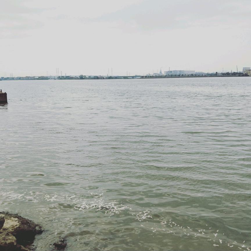 苏剑波
