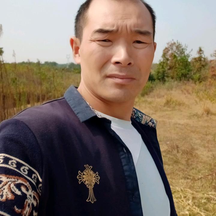 有情，缘自来汪哥，