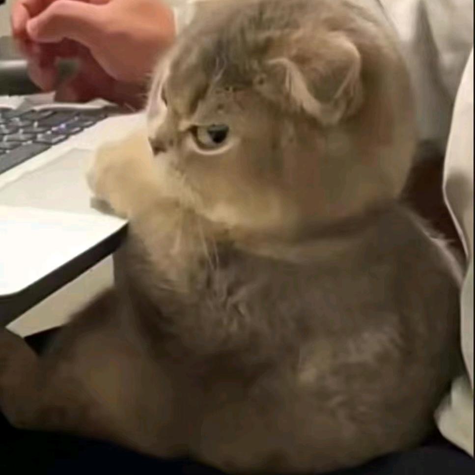 ๑_๑