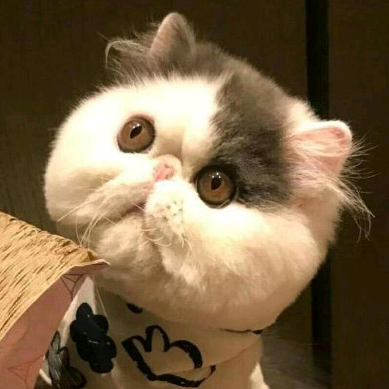 木鱼（拒绝私聊）