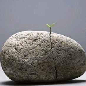 七小葫芦娃（柞水溶洞）