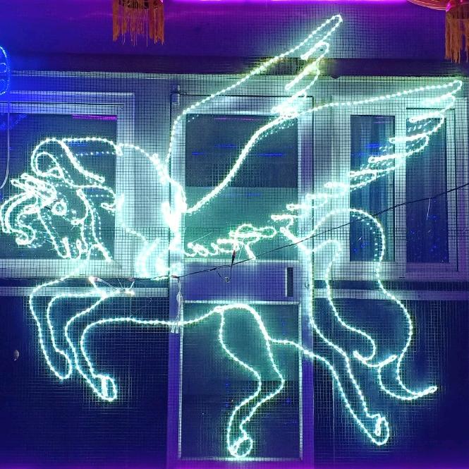 ༺꧁☄(◣д◢到处跑)☄꧂༻