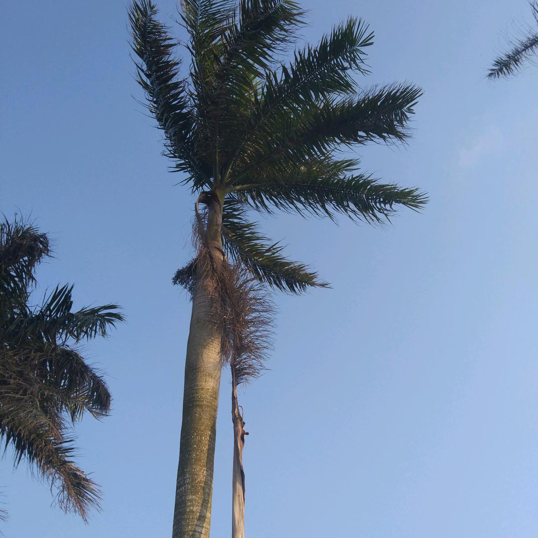 不忘初心，难能可贵