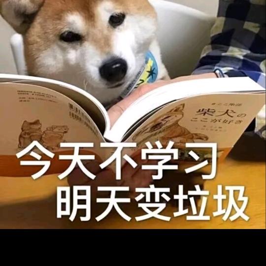 苏楠楠