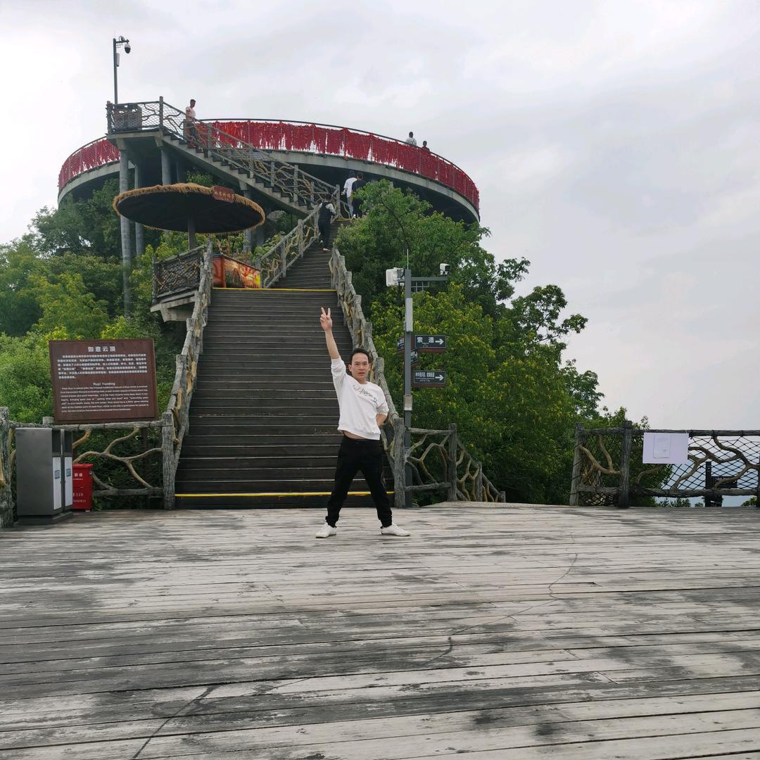 李司机