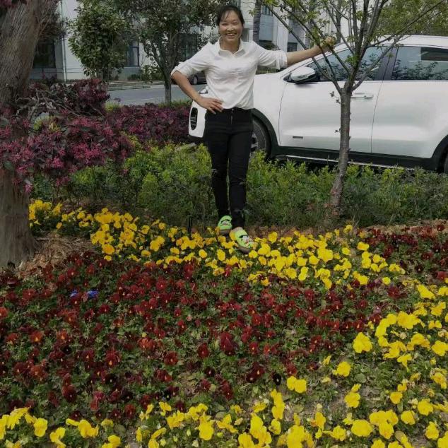 我的世界只有你