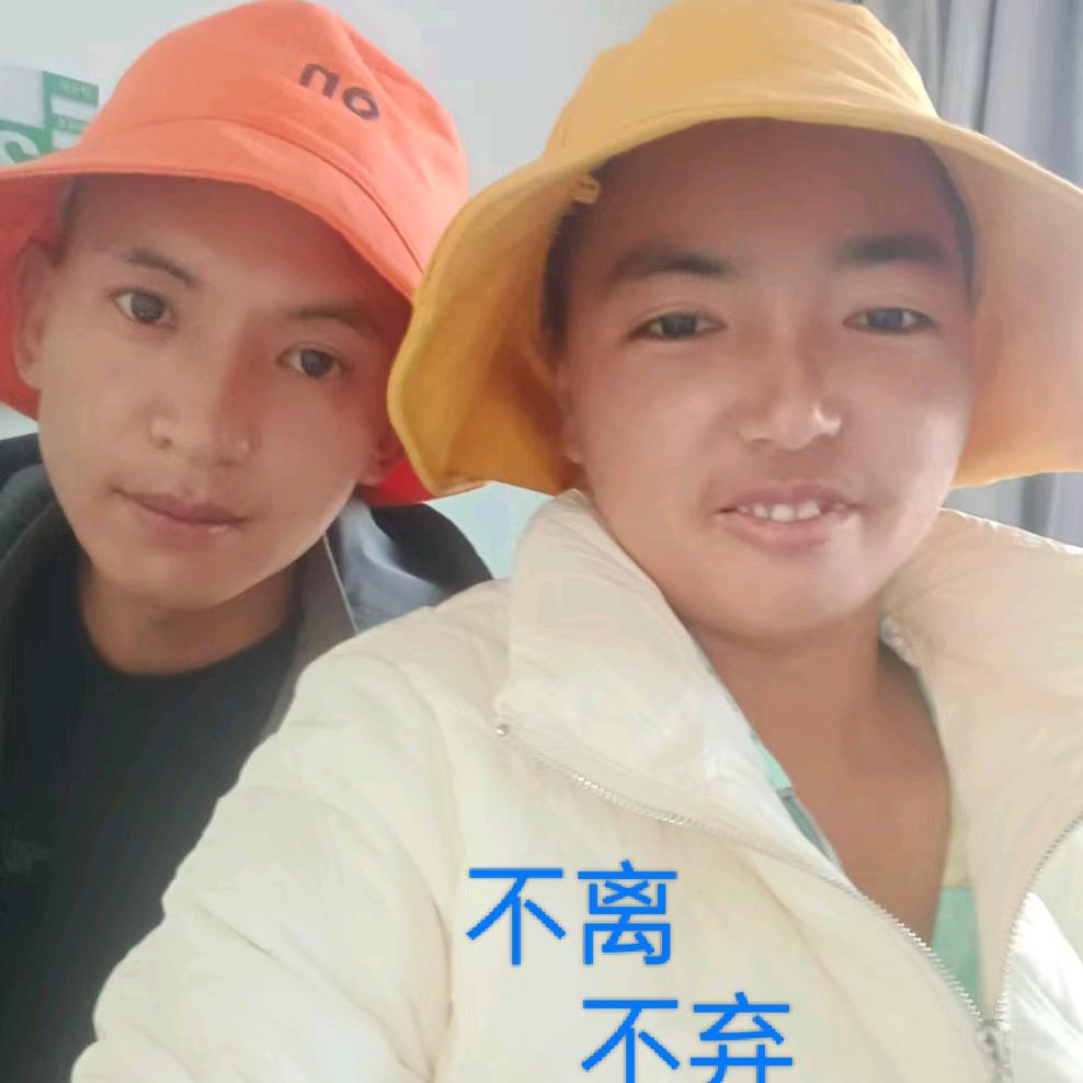 草根八弟