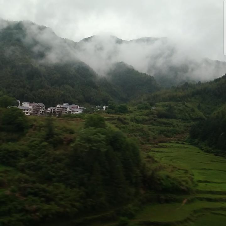 拿铁哥