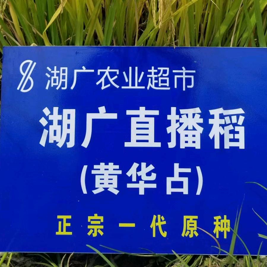 开着皮卡去种地
