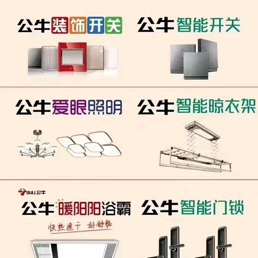 固镇公牛开关