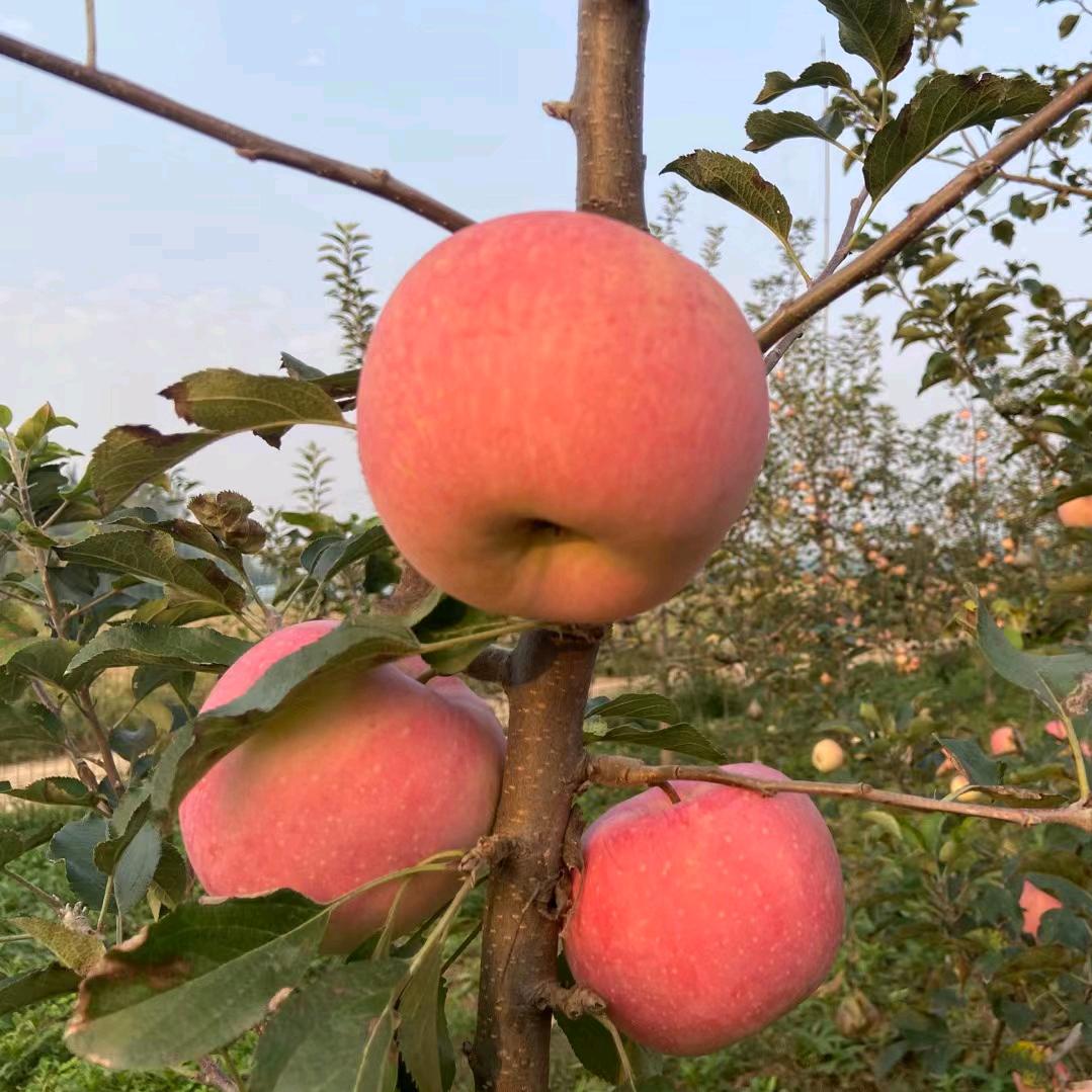 用户6530046243201缘分