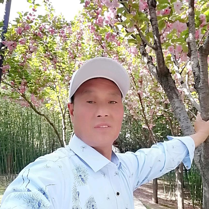 往事隨风