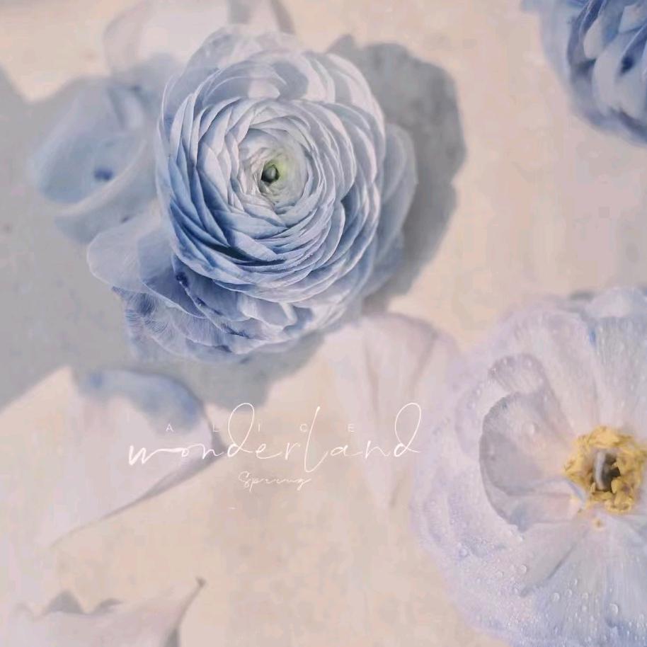 🌈阿哈哈哈哈(爱钱版💰）