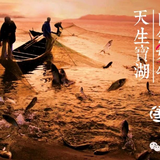 为人民服务(宋)