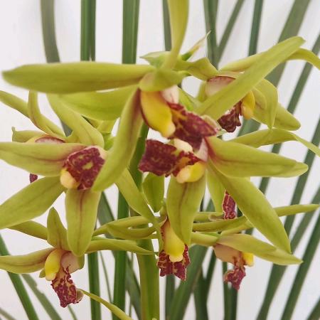 💕₅²⁰人生ઈོ百味¹ᶟ₁₄