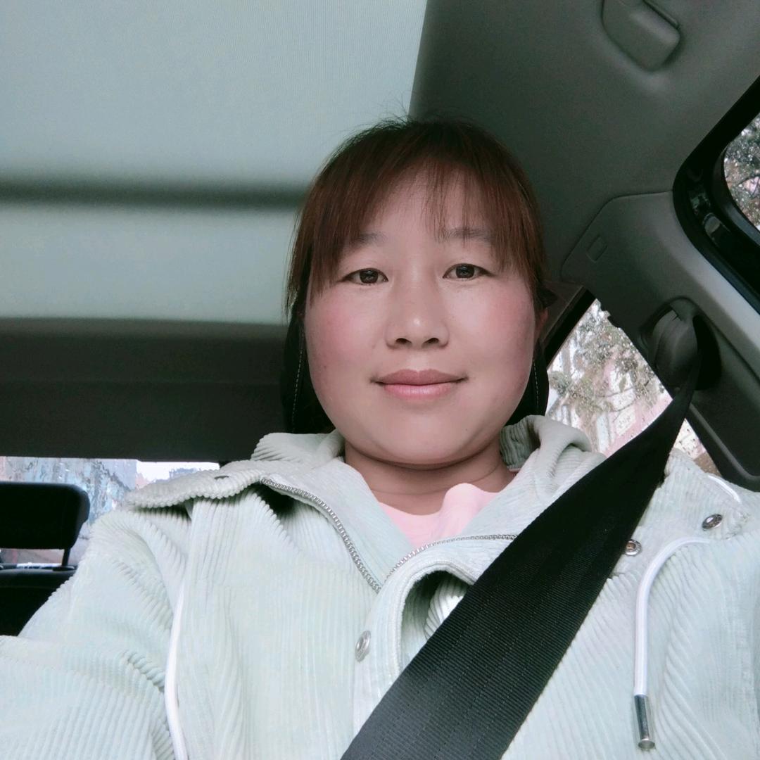 农村燕子