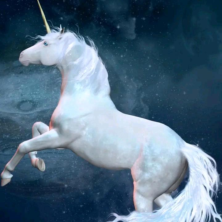 老弟，笑、为谁含羞