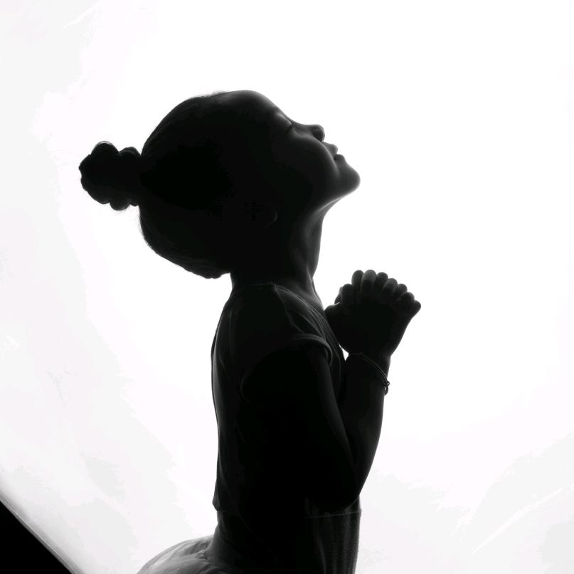 燕子