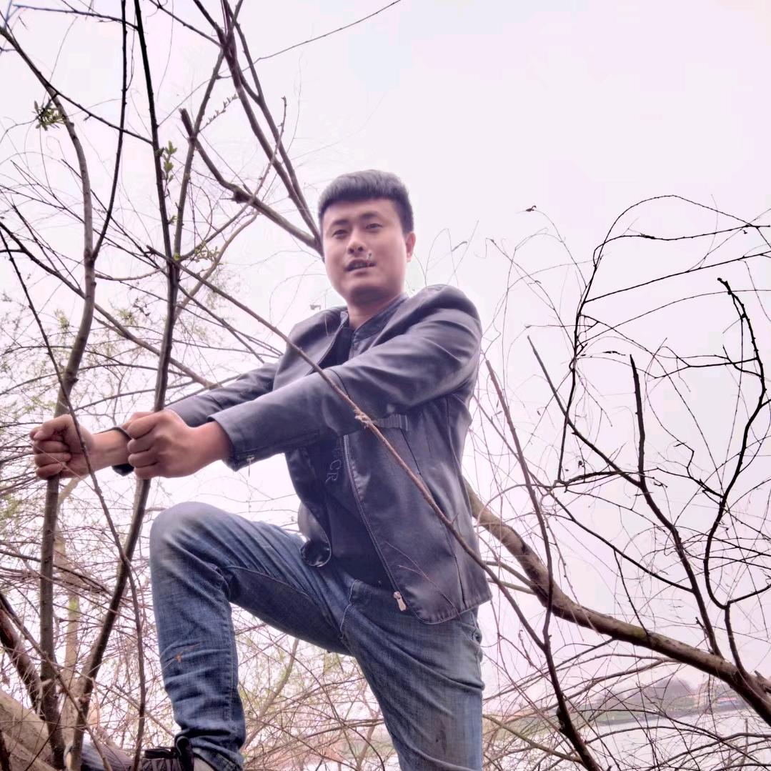 蔡小强