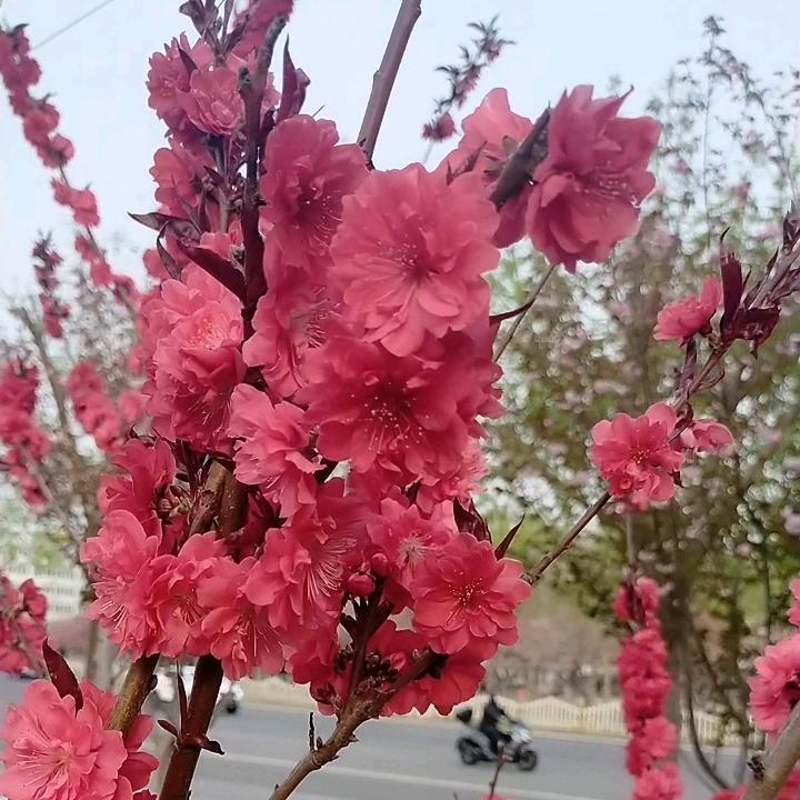 影子