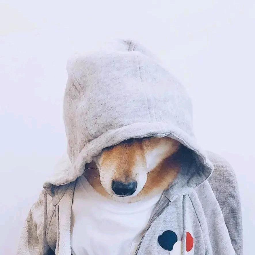 暴躁二哥