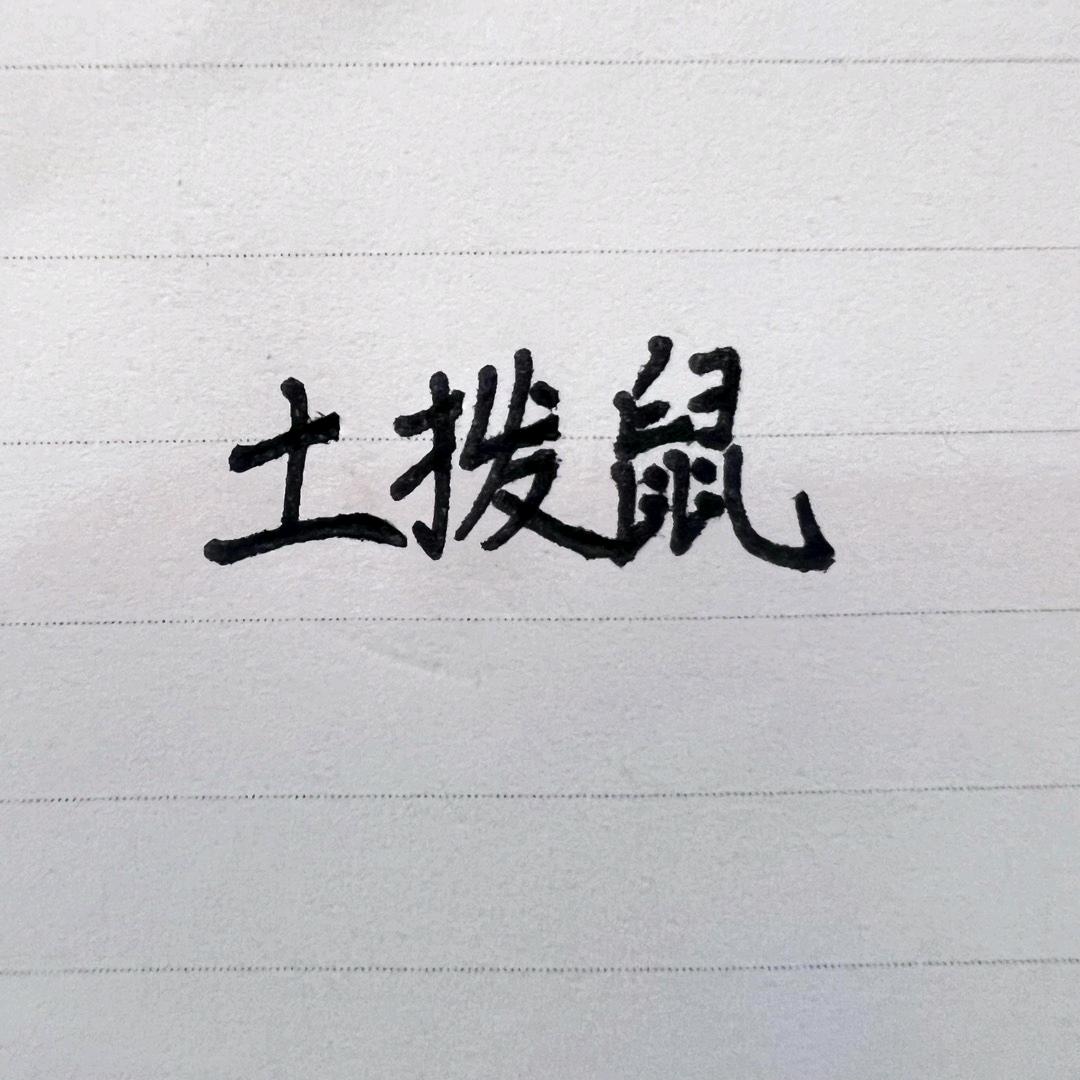 土拨鼠哈