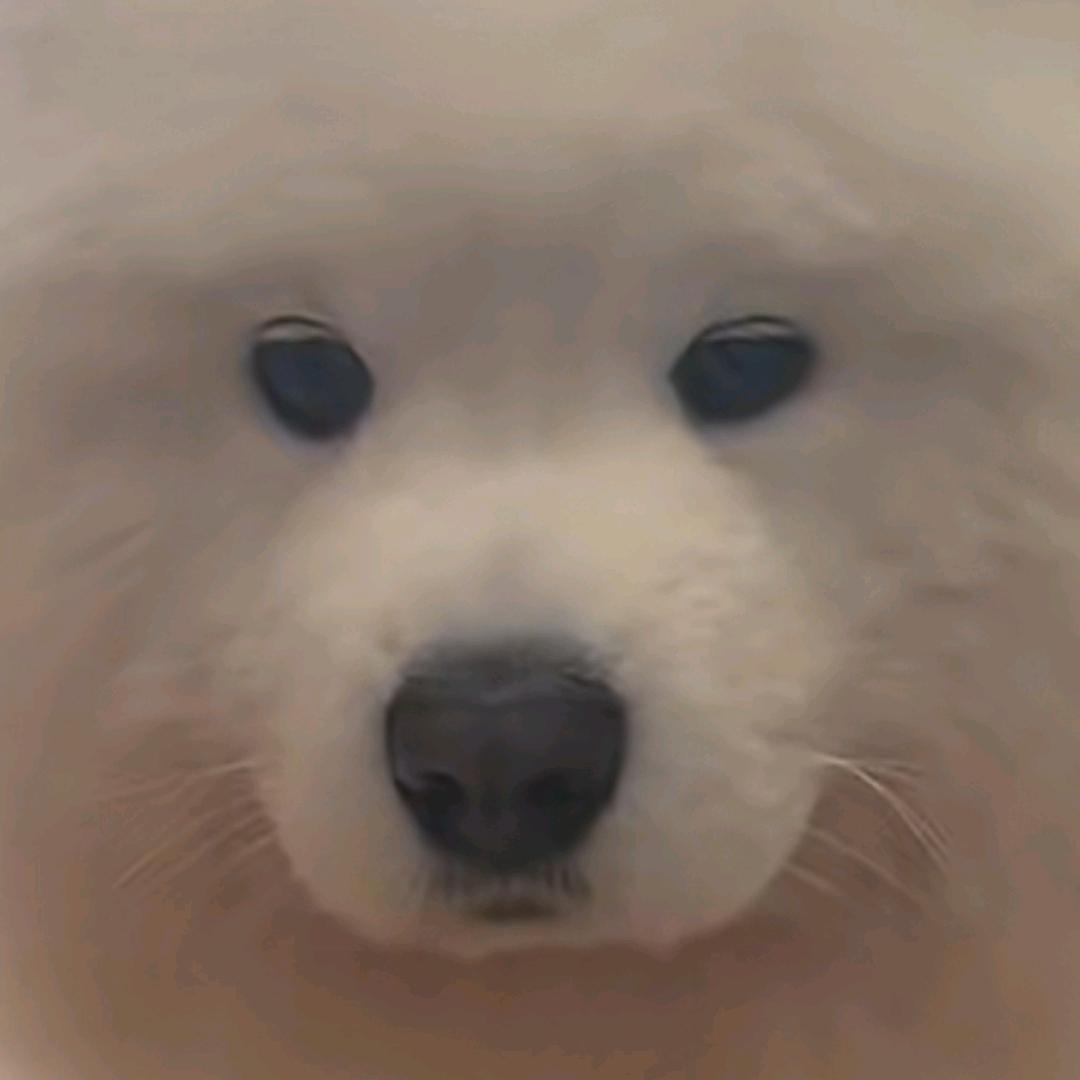 泼鞥彭