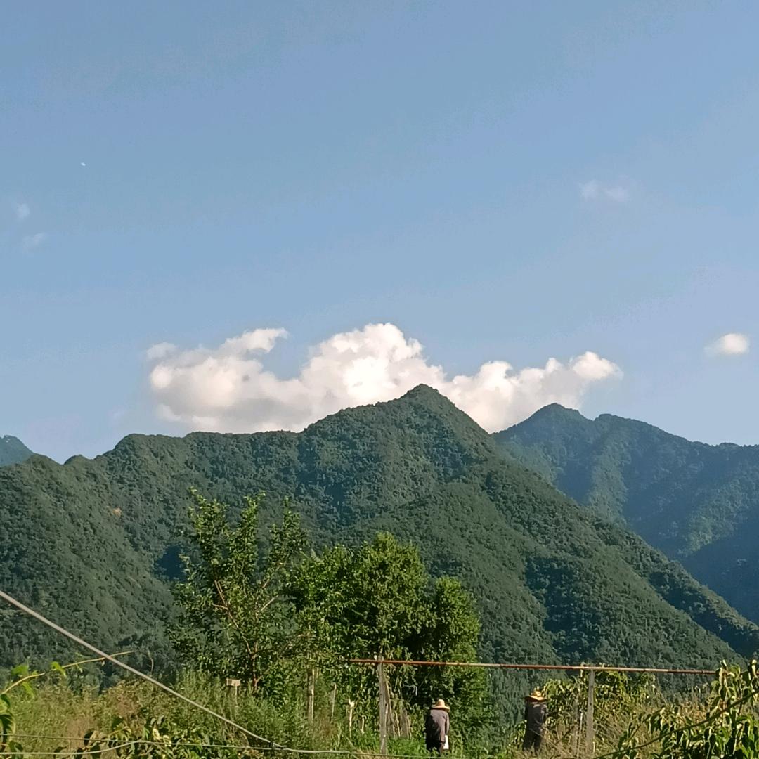 东花南里市场生鲜超市