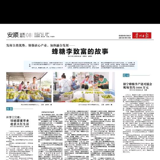 建华蜂糖李精品果超市
