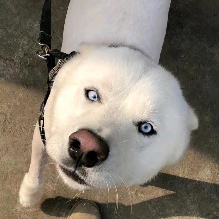 把名字还给我啊啊啊