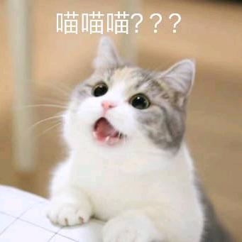 奶糖双倍快乐🍊