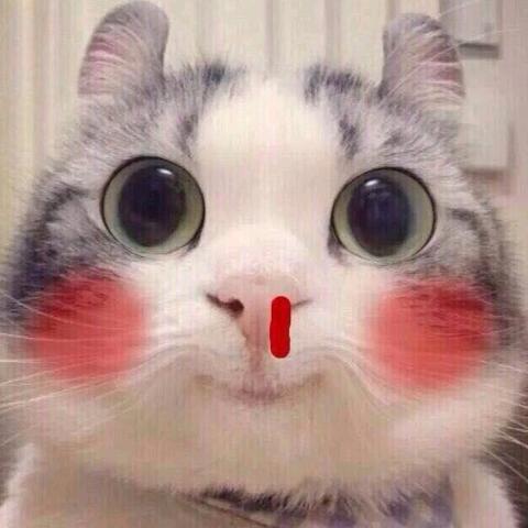 上海浦东启明租房