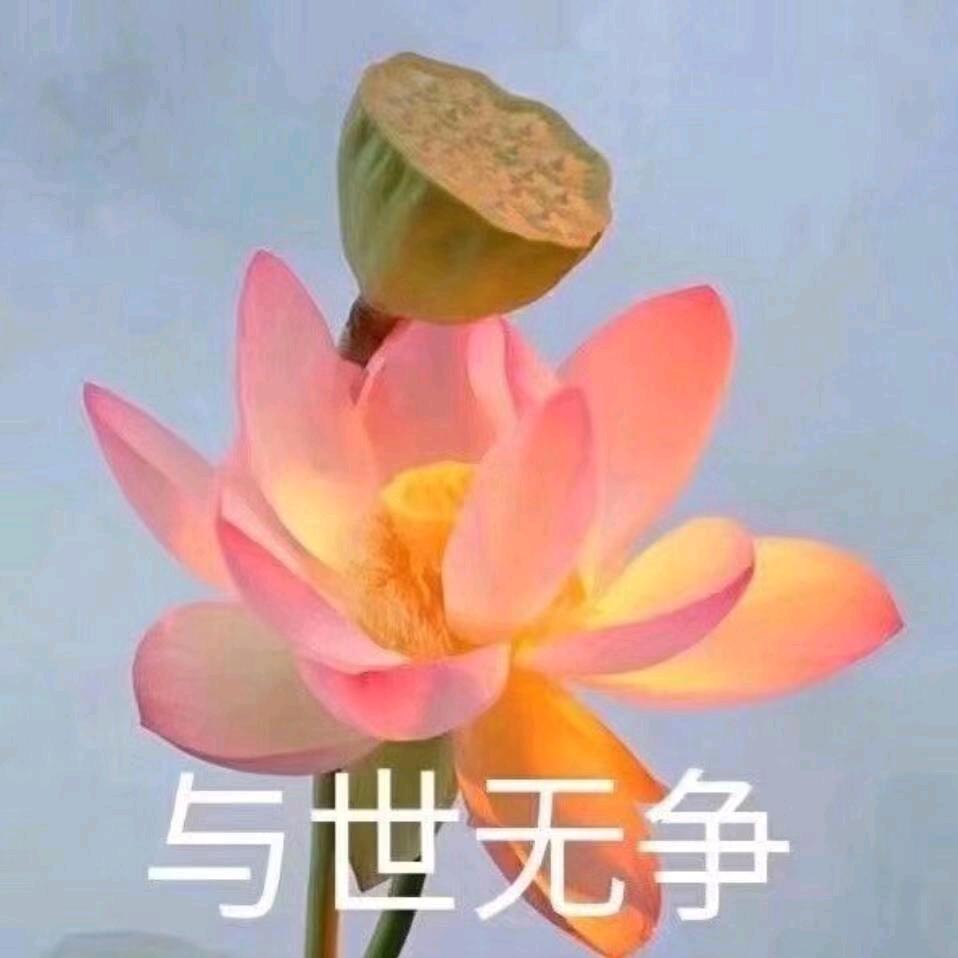 花开无声