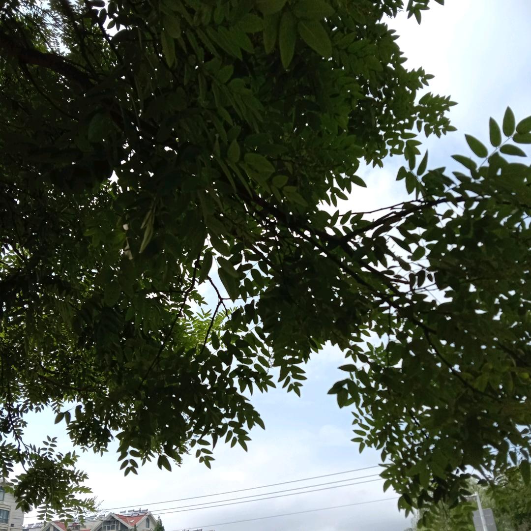 用户27459269头像