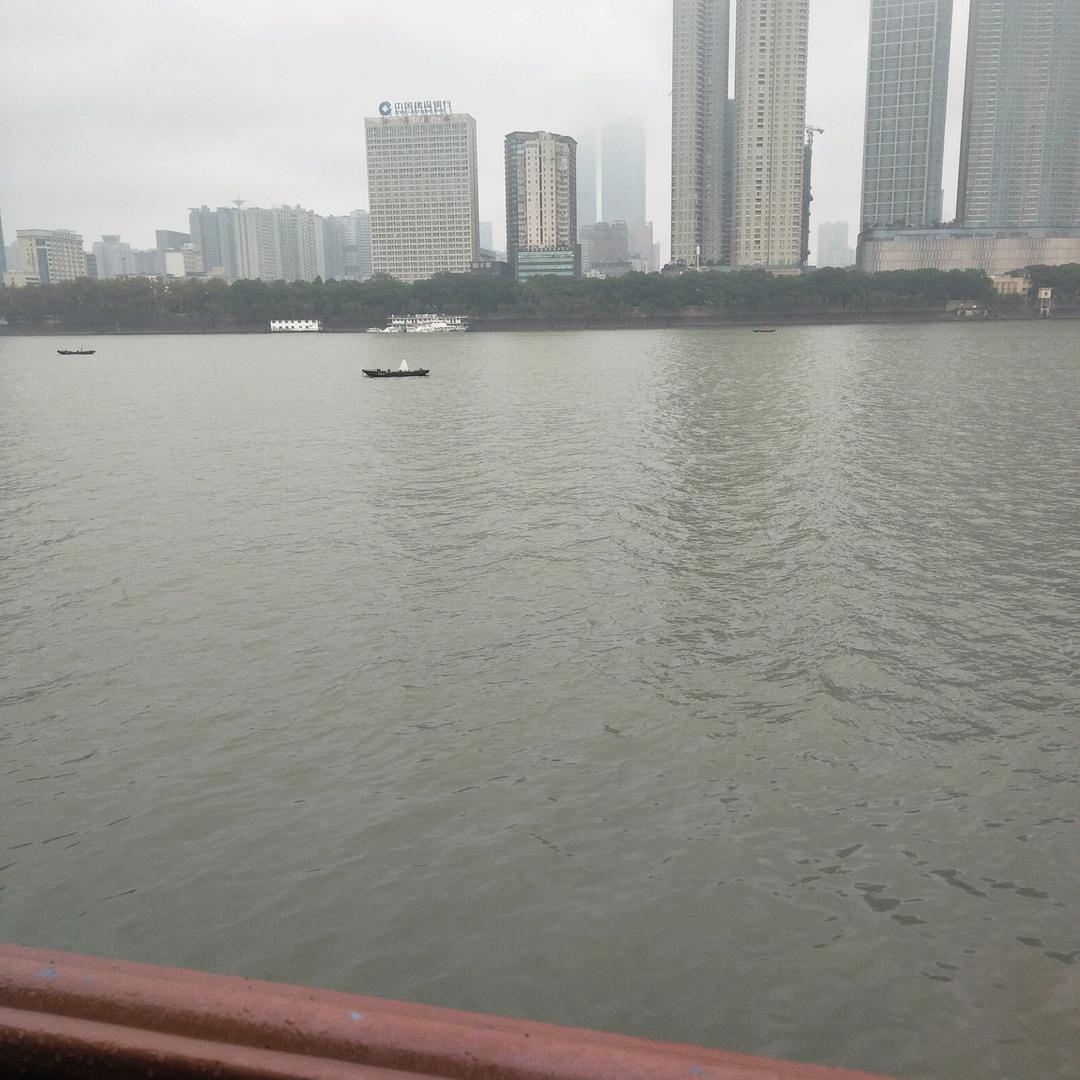 苹果果